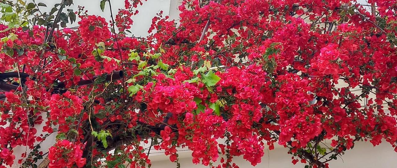 Stamatias Home, Fully Equipped Cottage 5 Minutes From The Sea Chania  Buitenkant foto
